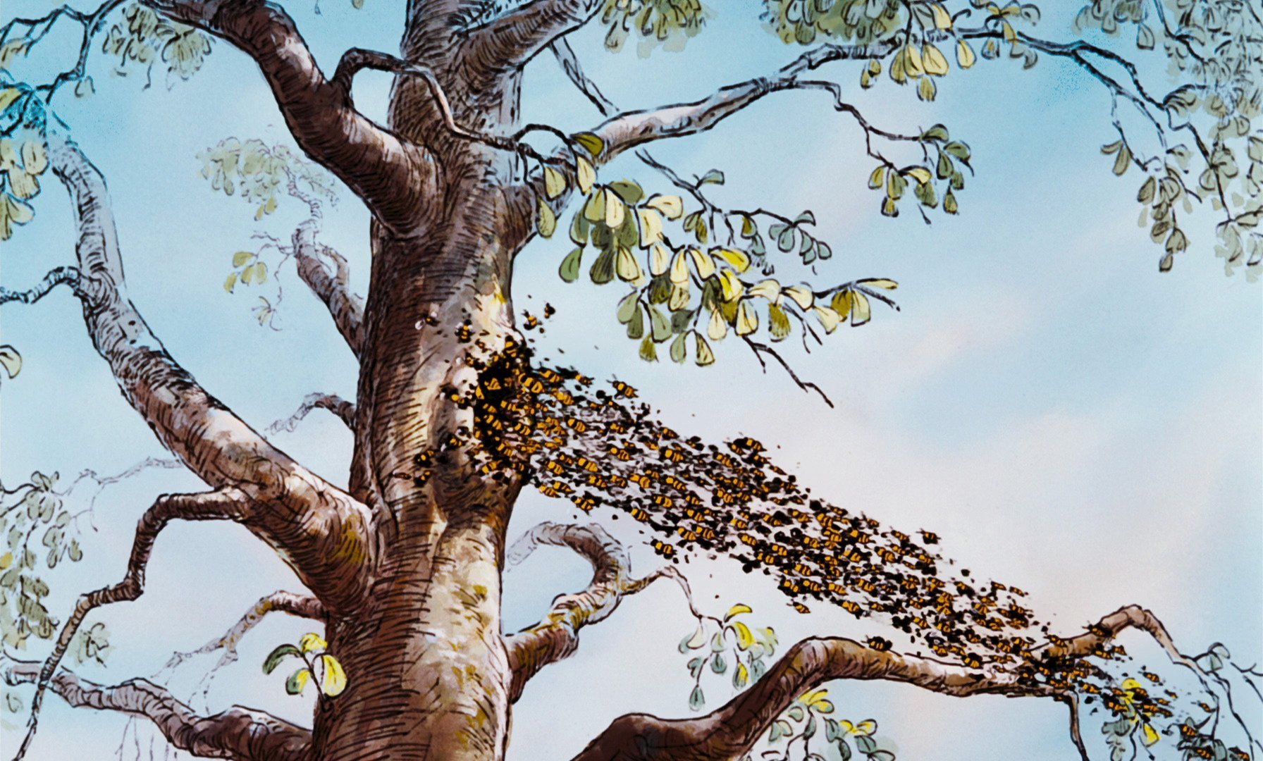 The Bees | Disney Wiki | Fandom