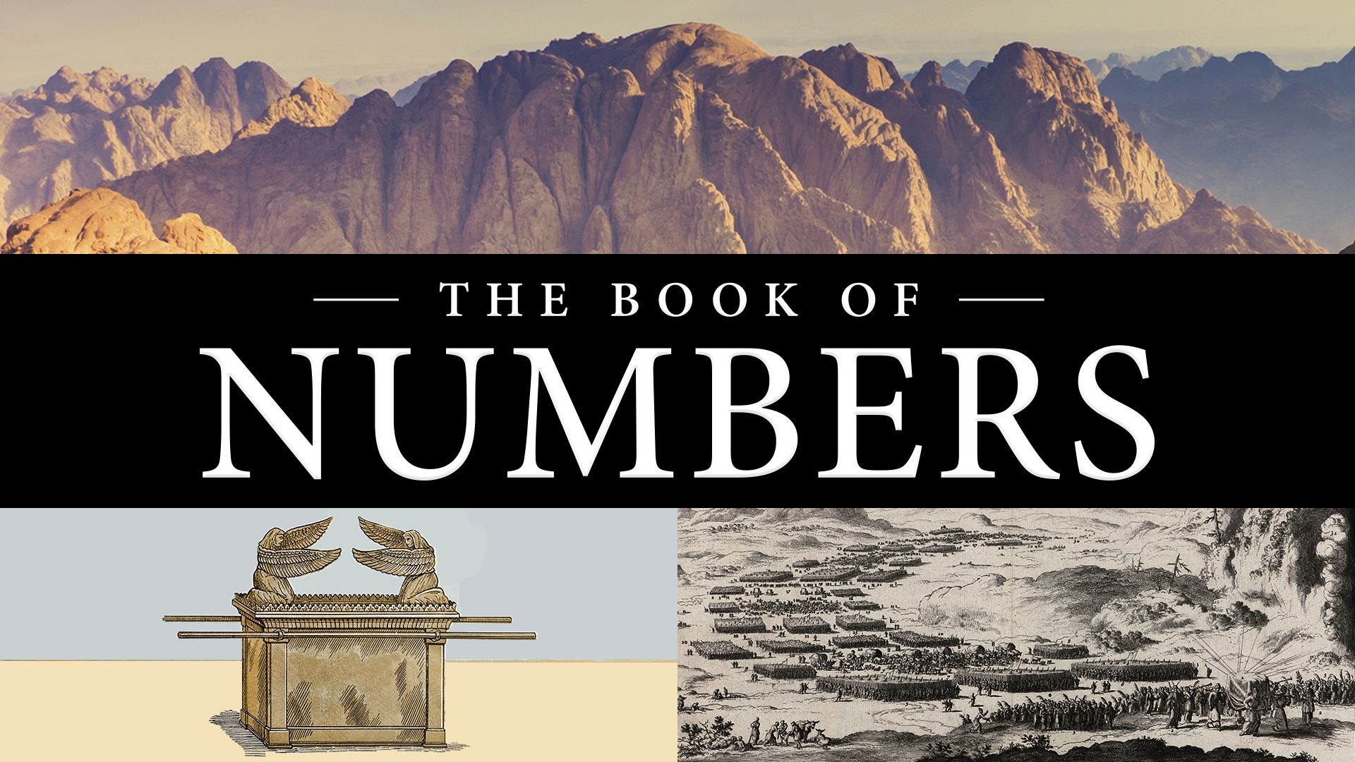 The Book of Numbers | ISOW