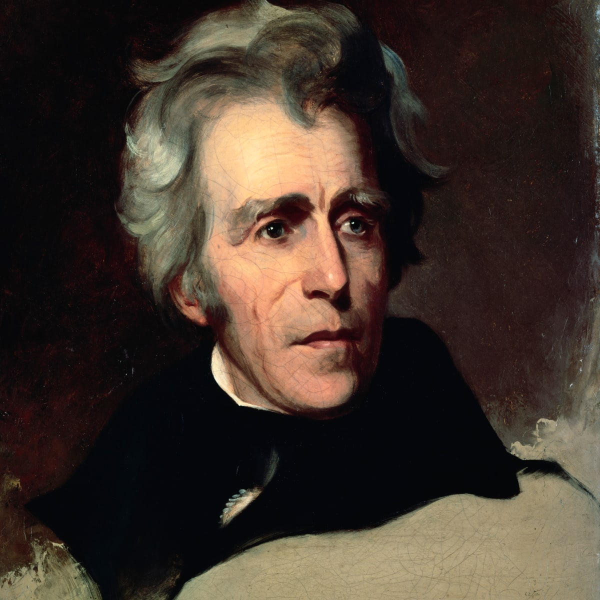 10 Things You May Not Know About Andrew Jackson - HISTORY