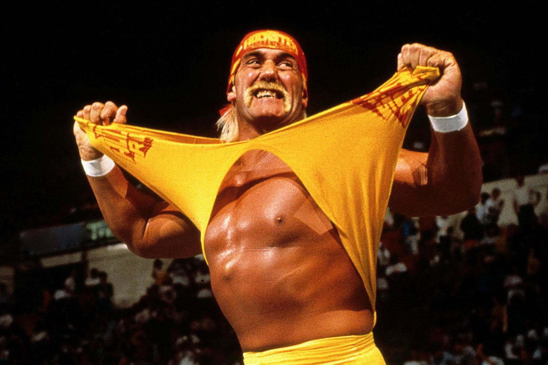 5 Signs Your Boyfriend Is Leaving You For WWE Superstar Hulk Hogan | by Robbie I. | Slackjaw | Medium