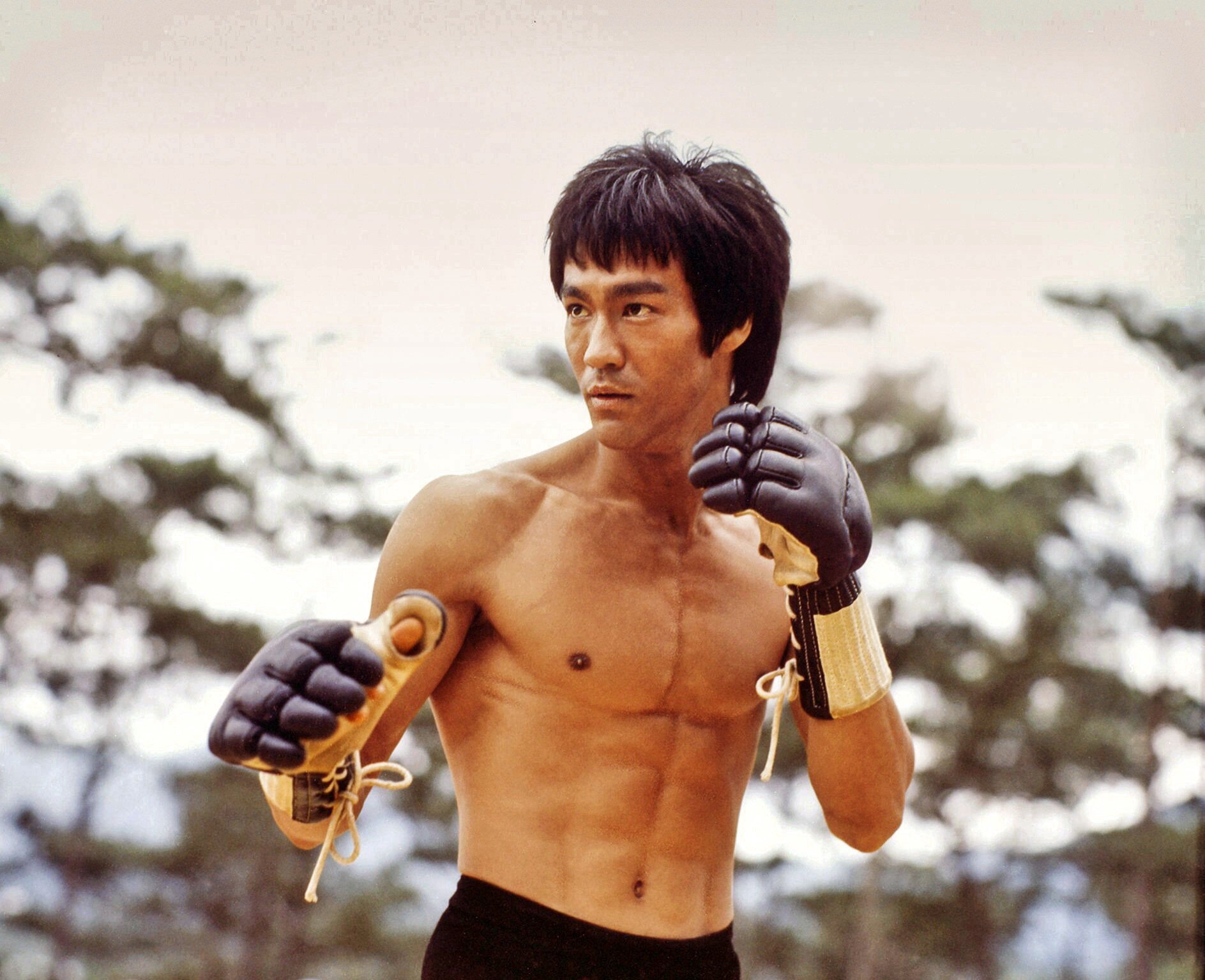 Imagine Bruce Lee being interviewed by Johnny Carson and doing kung fu with Elvis | by Jeremy Roberts | Medium
