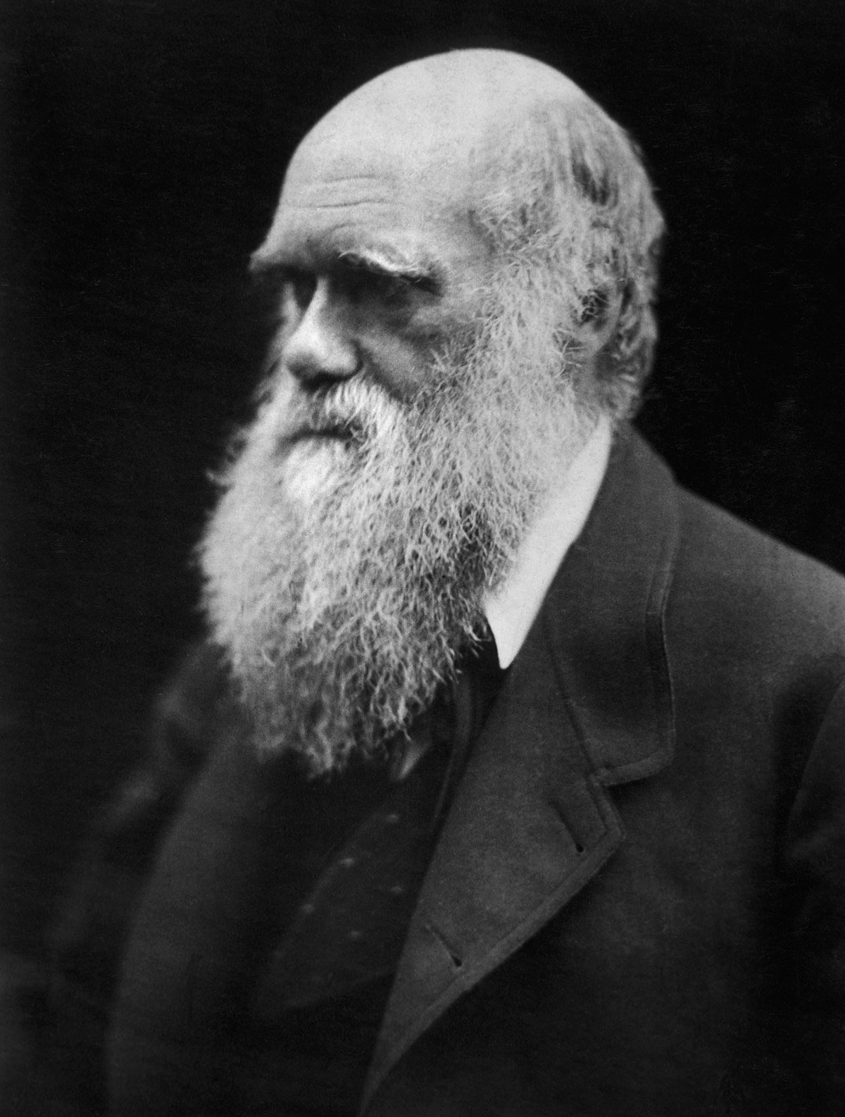 Darwin Day - Wikipedia