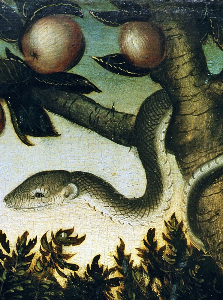 Two Centipedes Secondary blog of dosartistas — animals-in-art: Lucas Cranach the Elder (German,... | Serpent symbolism, Adam and eve, Lucas cranach