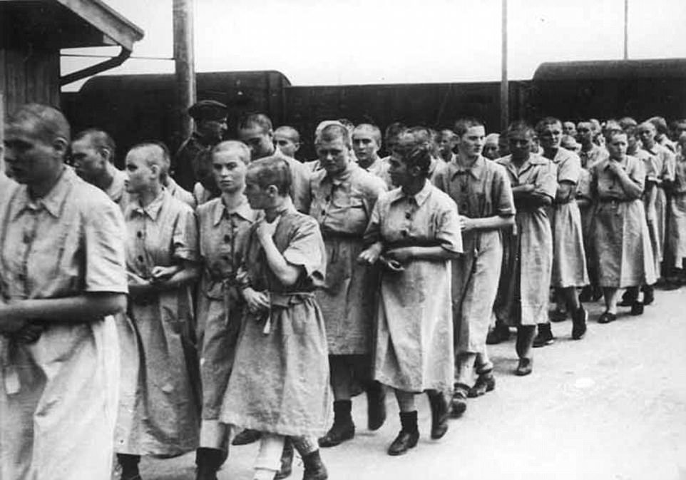 This image shows female prisoners in Auschwitz who were deemed suitable for work but did not work in the brothel. Non-Jewish women were lured into volunteering with promises of better living conditions and better food rations