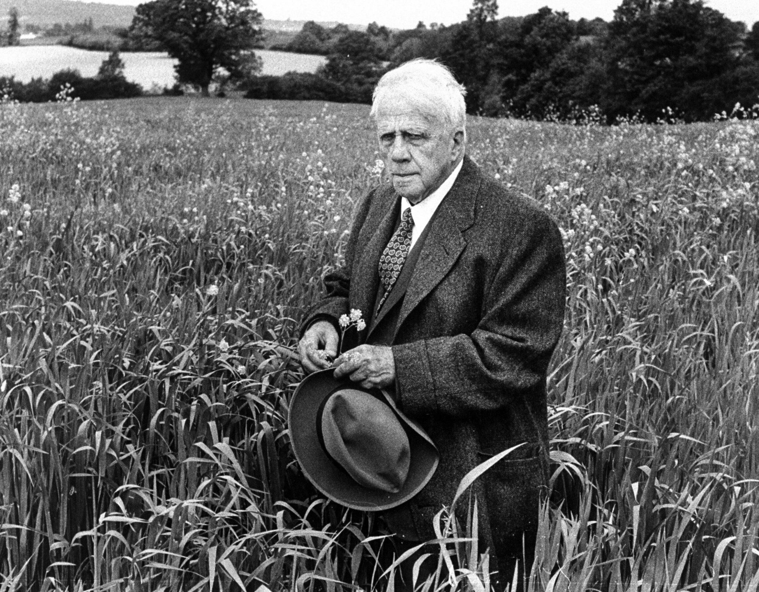 Let Us Talk About Robert Frost And The Road That Was Actually Taken | UnBumf