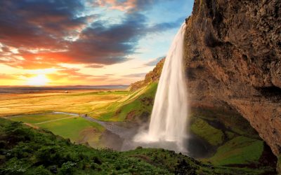 PSALMS from the Paleo-Hebrew Volume IV