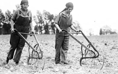 My Hand Is To the Plough