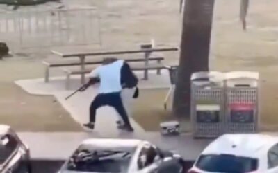 WATCH: Hero disarms terrorist during Bondi Beach shooting attack