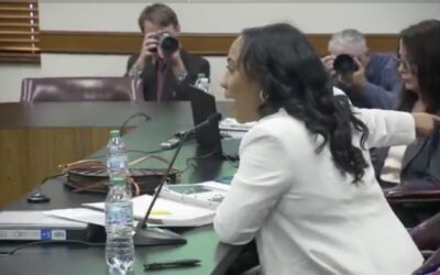 WATCH: Fani Willis Crashes Out During GA Senate Testimony — Total Meltdown