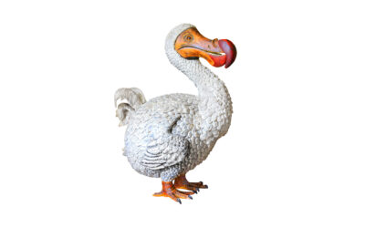 As Dead as a Dodo
