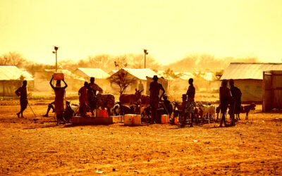 A Huge Number of People Starved to Death After Elon Musk Cut USAID’s Funding