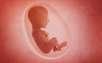 Unexpected Memes: Abortion