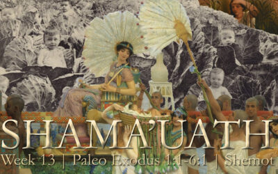 Paleo Hebrew Torah Portions: Exodus 1:1-61 Shemot