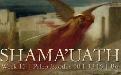 Paleo Hebrew Torah Portions: Exodus 10:1-13:16 Bo