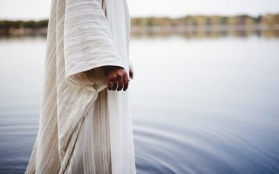 Take Another Walk Across the Americas with the White Prophet