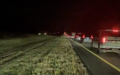 Tesla Fan Profusely Praises FSD For Veering His Car off the Side of the Highway