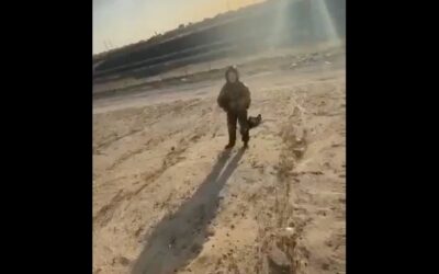 WATCH: USAF pilot greeted by Kuwaiti locals after ejecting from damaged plane