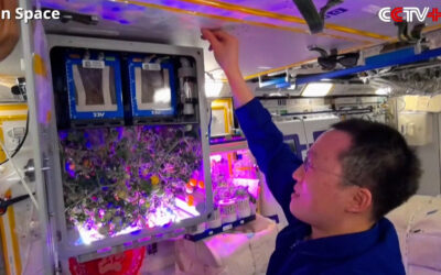 Chinese Space Station Astronauts Harvest Space Tomatoes