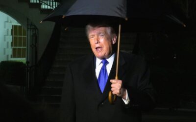 ABC Reporter Tells Incredible Story About Calling Up President Trump