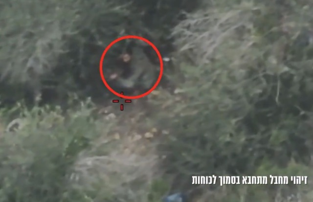 Hezbollah terrorist