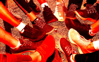 Allbirds Stock Now Crashing as Reality Sets in About Its Delusional AI Pivot