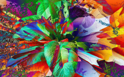 Scientists Gene Hacked a Plant So It Grows Five Types of Psychoactive Drugs at Once