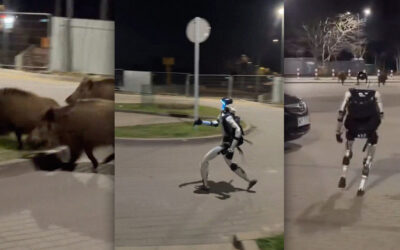Video Shows Humanoid Robot Chasing a Pack of Wild Boars