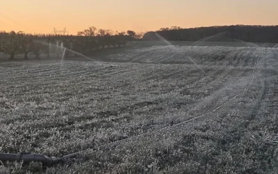 Pennsylvania seeks federal aid after April freeze damages specialty crops