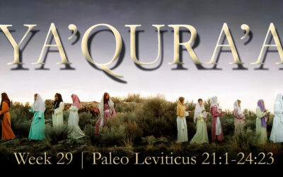 Chivalry & the Treatment of Animals; Spiritual Torah vs Letter of the Law
