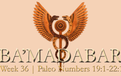 Bronze Serpent vs Staff of Caduceus; Og and Bashan, Realm of the Dead; Talmud Messiah; Jesus, Lamb or Red Heifer?