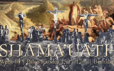 Second Exodus, the Better Exodus; Resurrection of Ephraim; Manna & Millennial Kingdom Poop Problem