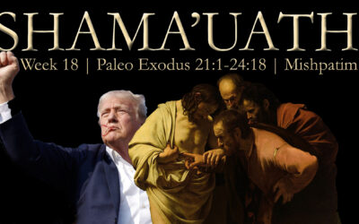 Trump Assassination Levitical Ceremony; Stigmata; Slaves of Christ; Portals; Jesus Teaches Torah