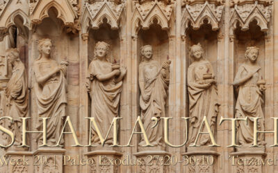 Cathedral of Virgins & the Unicorn; Menorah Sanctuaries; MK Artifacts, Residue; Clothes of Deception