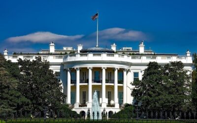 Federal Judge Issues Ruling On Attempt To Block White House UFC Event