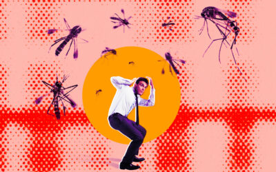 People Are Not Happy About Google’s Plan to Release Millions of Bioengineered Mosquitoes Into the Wild