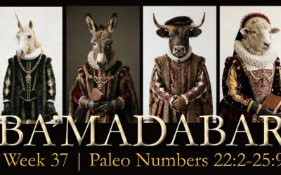 More Millennial Kingdom Time Travelers; Peter & Paul Bromance; Talking Animals on Trial