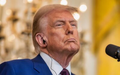 The Solution Is in the Hands of Mr. Trump, a Karachi Fruit Exporter Says — With His Mangos Stuck at the Iranian Border