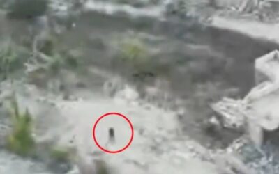 WATCH: IDF eliminates armed Hezbollah terrorist in south Lebanon