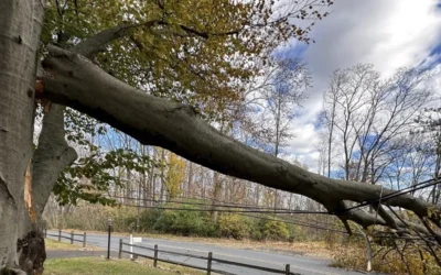 Nearly one million lose power as severe storms sweep Midwest, Northeast and Ontario