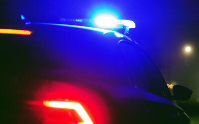 Flock Cameras Screw Up, Swarm Innocent Man With Armed Police