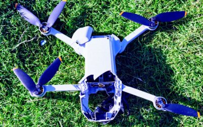 Volunteers Tracking Lost Dog Baffled When Locals Trash Thermal Imaging Drone