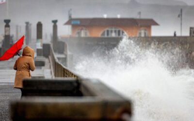 Scientists Alarmed by “Kelvin Wave” That Could Raise California Ocean Level by a Whole Foot
