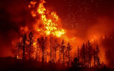 United Nations Concedes That Efforts to Arrest Climate Change Have Failed, and the Planet Is Now Spiraling Into Environmental Catastrophe
