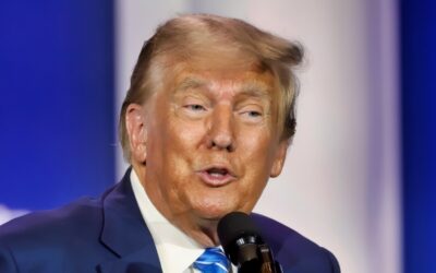 Donald Trump Just Gave Democrats the Playbook To Chip Away at What Is Left of His Crash and Burn Presidency