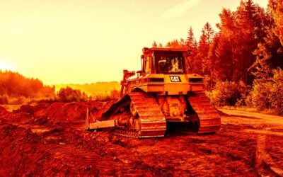 Google Accused of Illegally Killing a Massive Forest for Its New Data Center Project